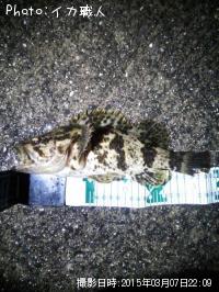 ¥¿¥±¥Î¥³¥á¥Ð¥ë