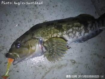 �����ʥ�