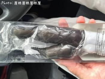 ̵���ʤ�ޤ����ʾС�