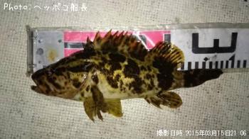 �����Υ���Х�