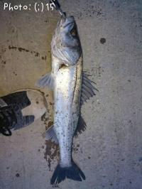 �����Х�