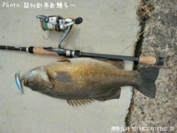 ¥¹¥â¡¼¥ë¥Þ¥¦¥¹