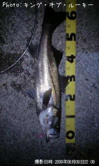 �����Х�