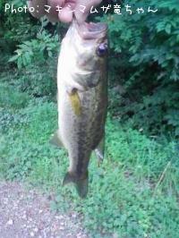 ¥Ö¥é¥Ã¥¯¥Ð¥¹