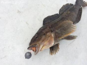 �����ʥ�