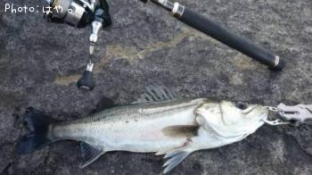 �����Х�