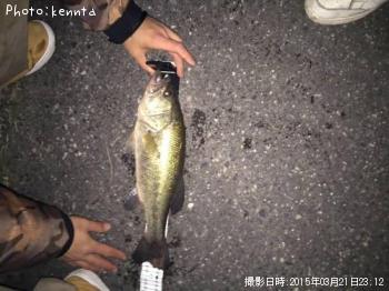 ¥Ö¥é¥Ã¥¯¥Ð¥¹