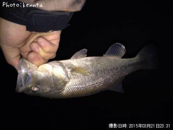 �֥�å��Х�