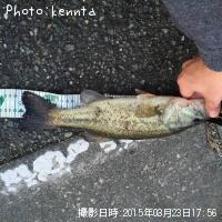 ¥Ö¥é¥Ã¥¯¥Ð¥¹