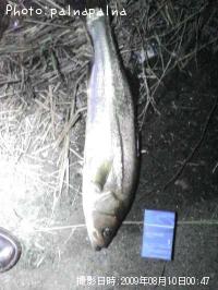 �����Х�