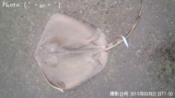 ¥¢¡¡¡¡¥«¡¡¡¡¥¨¡¡¡¡¥¤