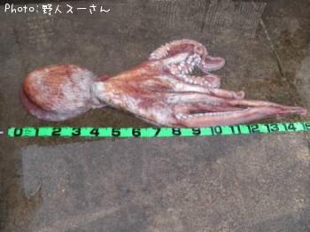 �ߥ�����