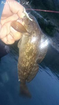 �����ʥ�