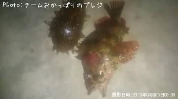 �������Х�