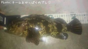 �����Υ���Х�