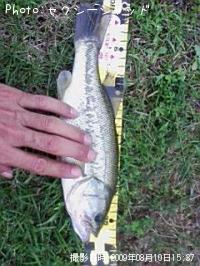 �֥�å��Х�