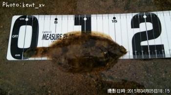 �ޥ����쥤