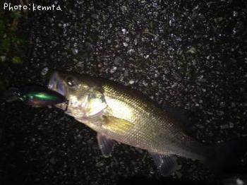 ¥Ö¥é¥Ã¥¯¥Ð¥¹