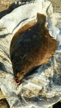 �ޥ����쥤