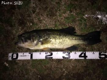 �֥�å��Х�