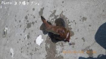 �٥�������