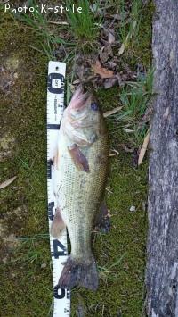 �֥�å��Х�