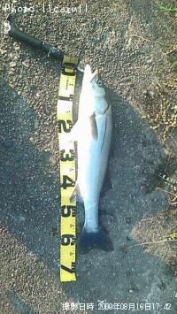 �����Х�