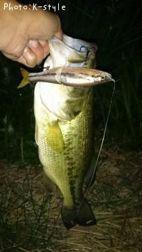 ¥Ö¥é¥Ã¥¯¥Ð¥¹