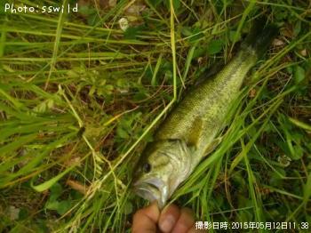 �֥�å��Х�