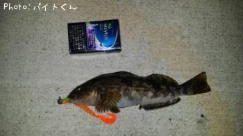 �����ʥ�