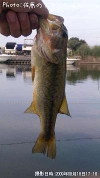 ¥Ö¥é¥Ã¥¯¥Ð¥¹