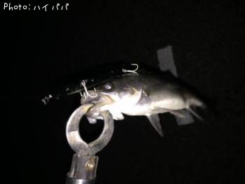 �����Х�