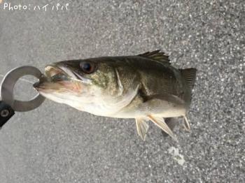 �����Х�