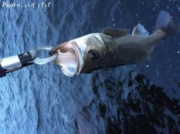 �����Х�