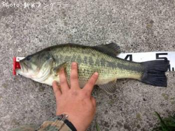 �֥�å��Х�