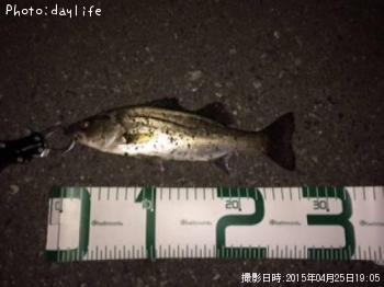 �����Х�