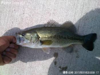 ¥Ö¥é¥Ã¥¯¥Ð¥¹