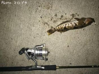 �����ʥ�