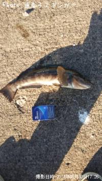 �����ʥ�