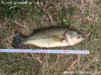 �֥�å��Х�