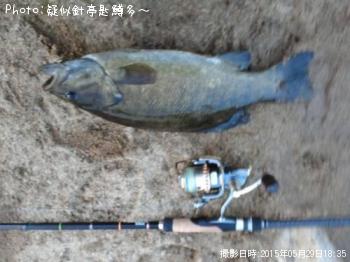 ���⡼��ޥ���