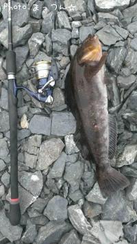 �����ʥ�