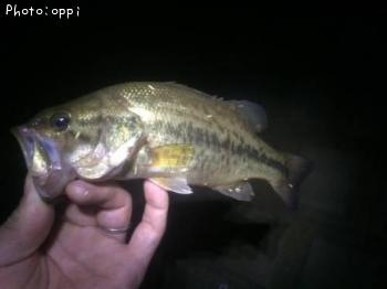 ¥Ö¥é¥Ã¥¯¥Ð¥¹