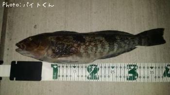 �����ʥ�