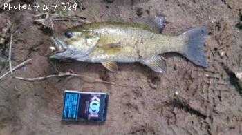 ¥Ö¥é¥Ã¥¯¥Ð¥¹