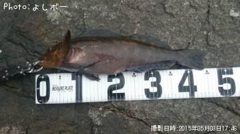 �����ʥ�