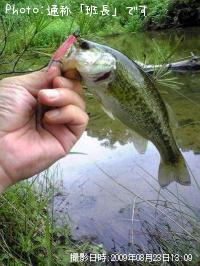 ¥Ö¥é¥Ã¥¯¥Ð¥¹