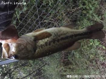 �֥�å��Х�