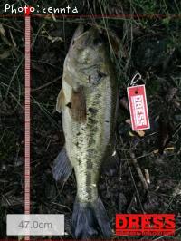 �֥�å��Х�