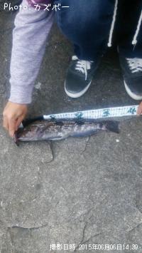 �����ʥ�